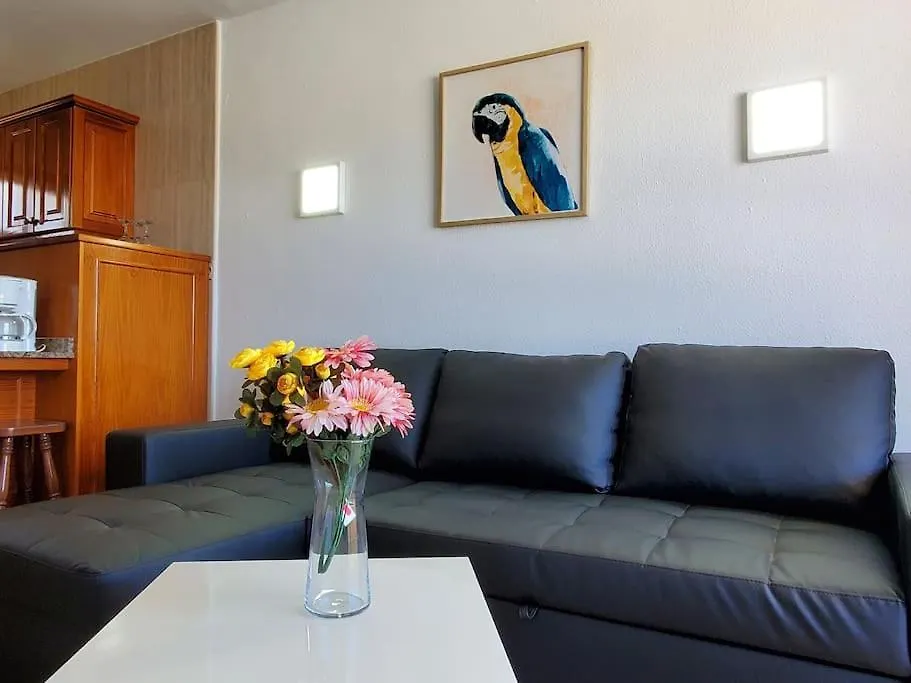 Las Camelias Apartments Q17 Maspalomas